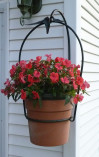 Front View of Hanging Planter