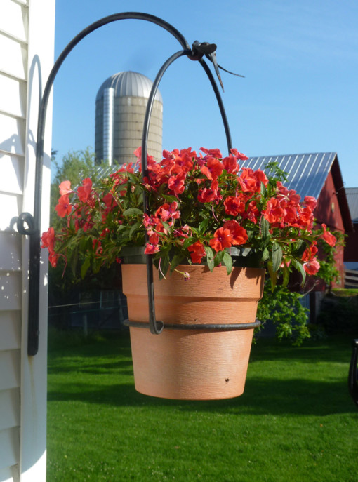 Side View of Hanging Planter